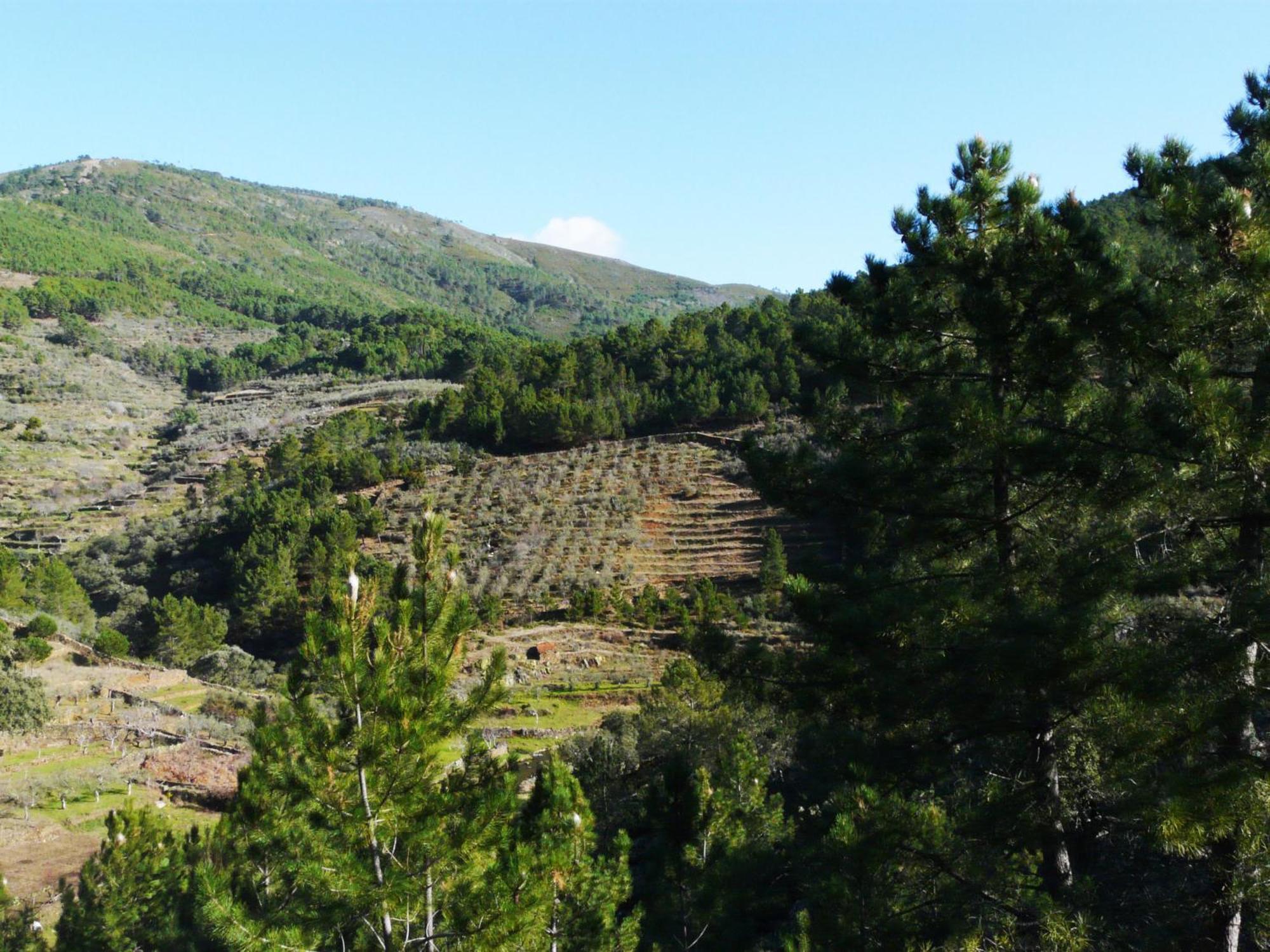 פינופראנקוואדו Apartamentos Rurales El Prado מראה חיצוני תמונה