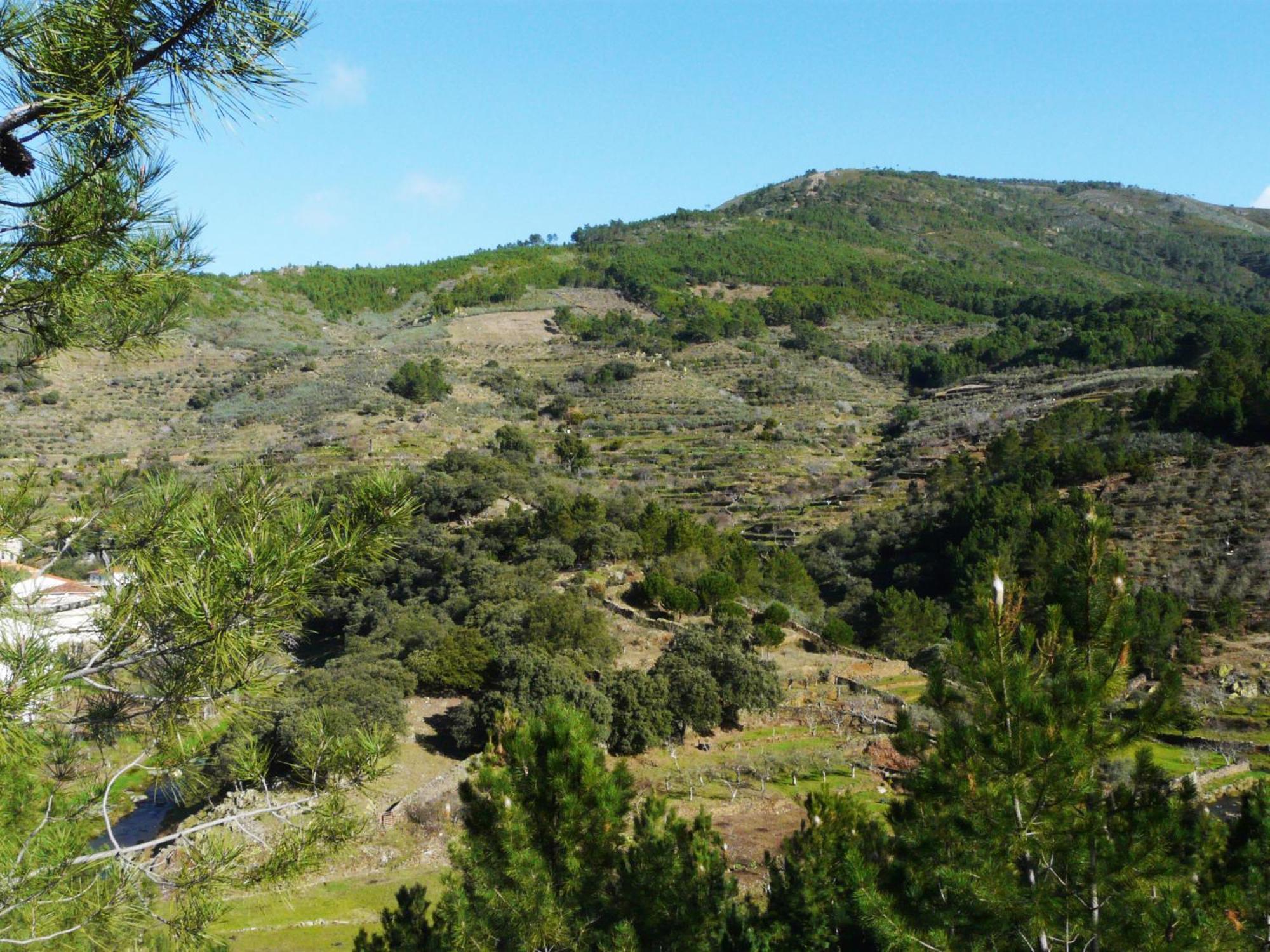 פינופראנקוואדו Apartamentos Rurales El Prado מראה חיצוני תמונה